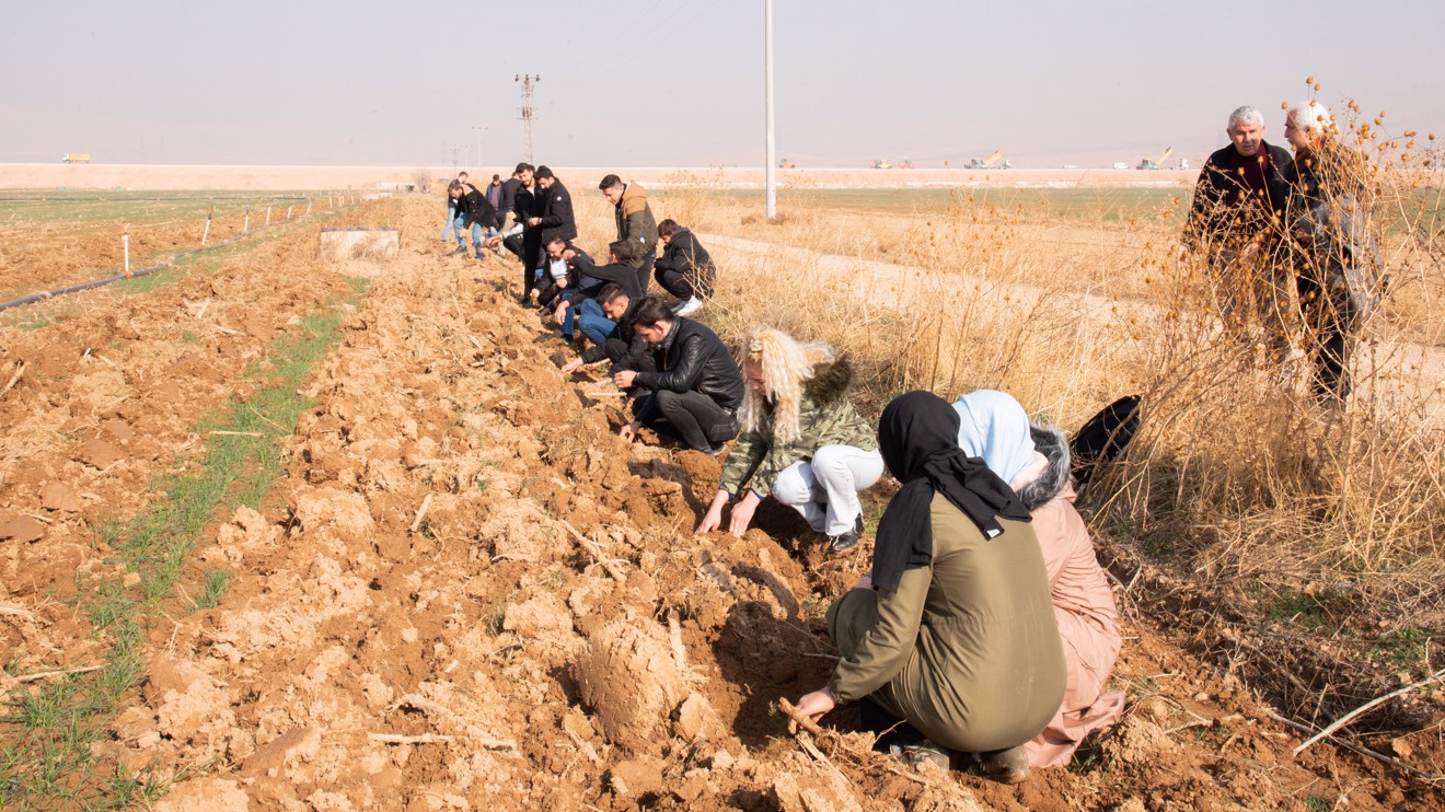 Selçuk Üniversitesi Sarıcalar Araştırma ve Uygulama Çiftliğinde 12 bin fidan dikildi